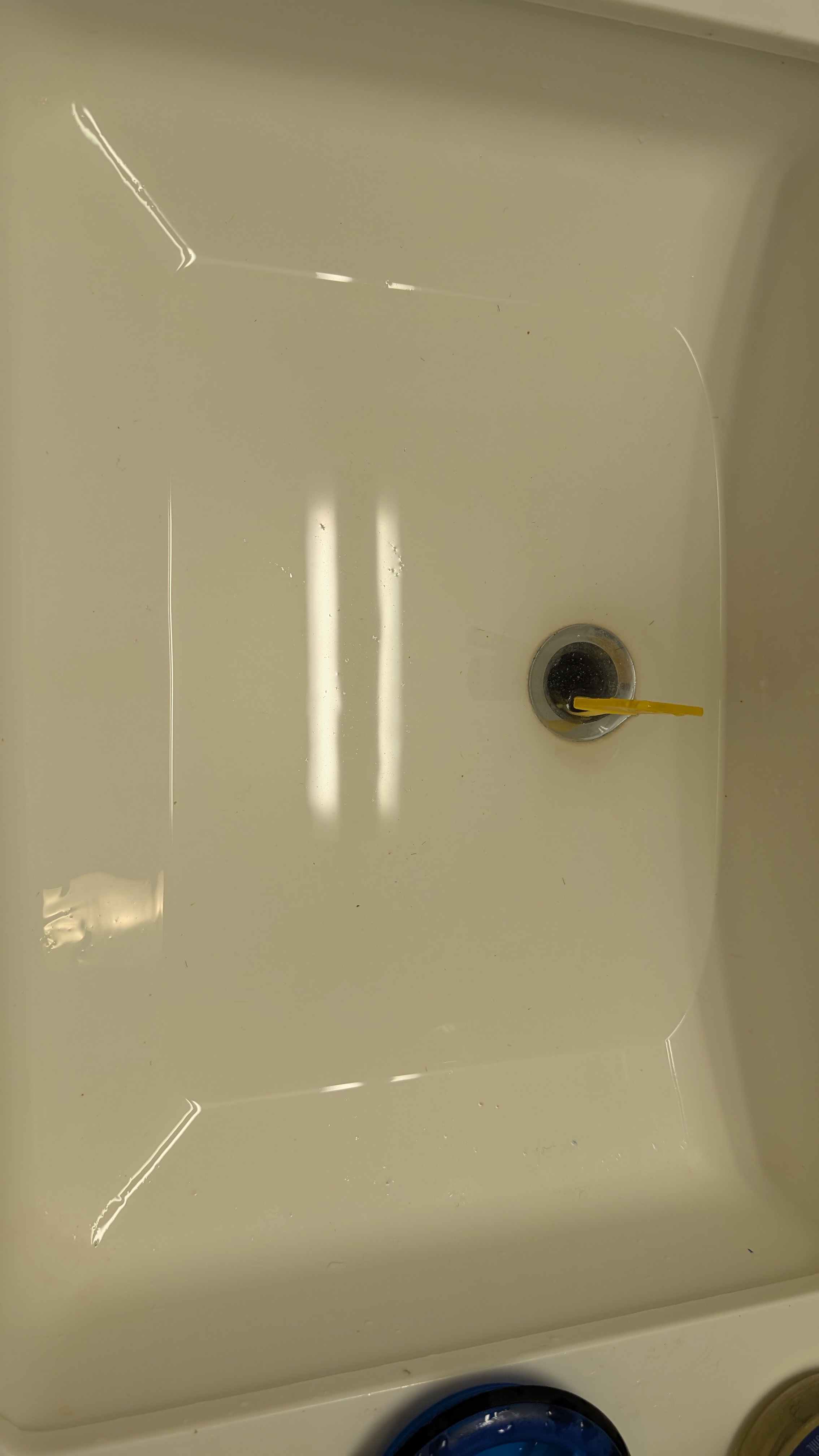 1000013293.jpg