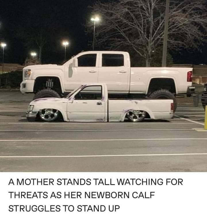 1775243165929.png