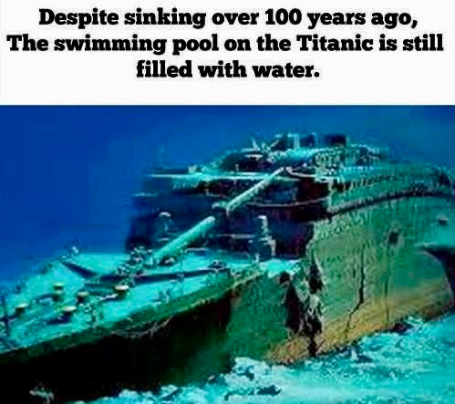 1777865933216.png