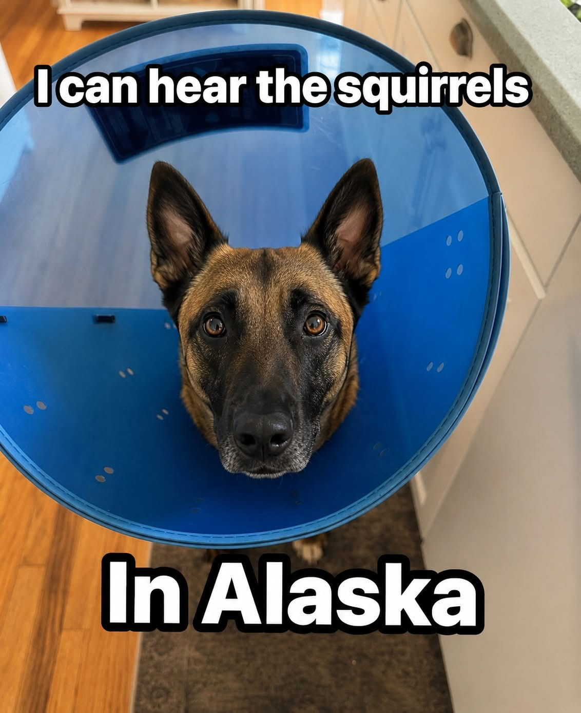 1779978397855.png