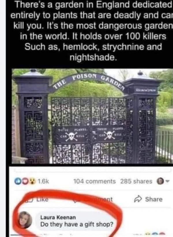 1781275496132.png