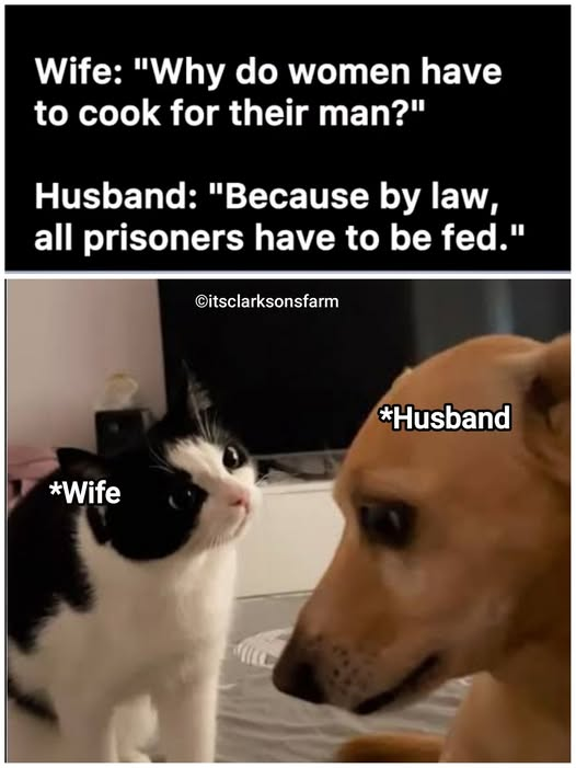 1781793522225.png