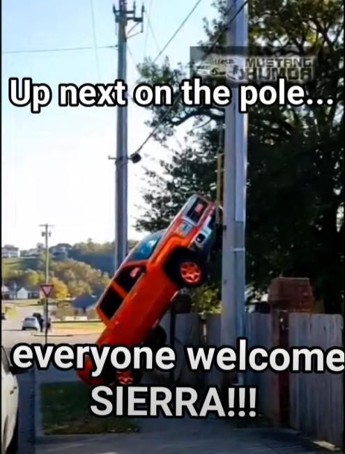 1781814744094.png