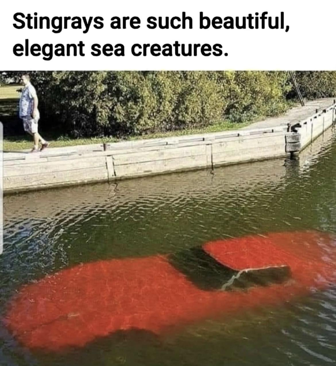 1783874829870.png