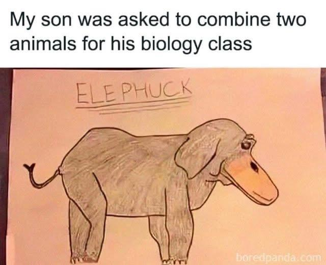 1784491220526.png