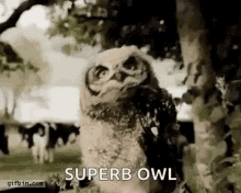 1790650891290.gif