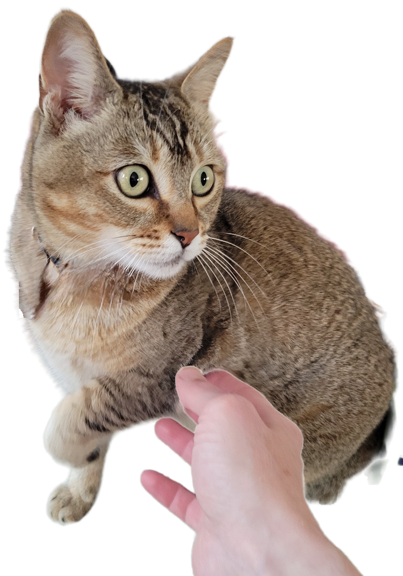 1791944760550.png