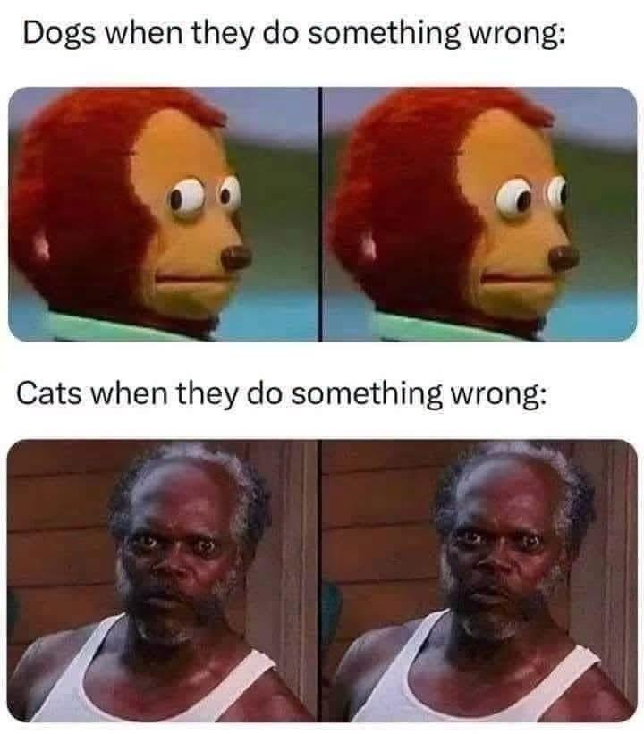 1792469560206.png