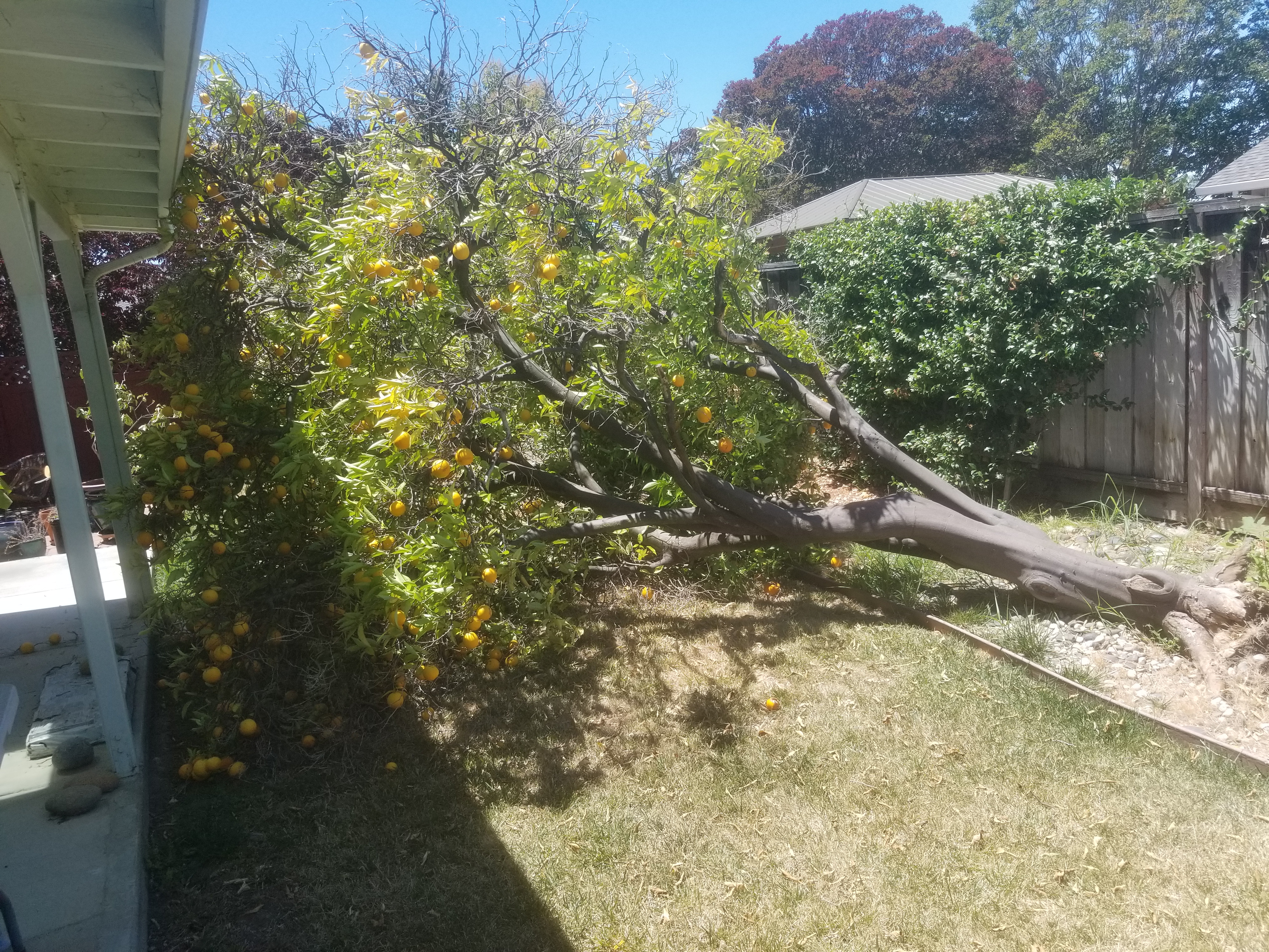 20260722_130554.jpg