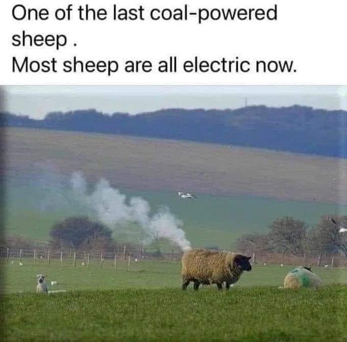 coal_powered_sheep.jpg