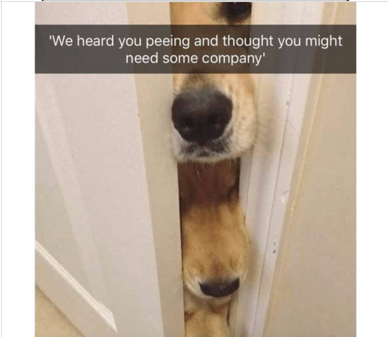 company.jpg