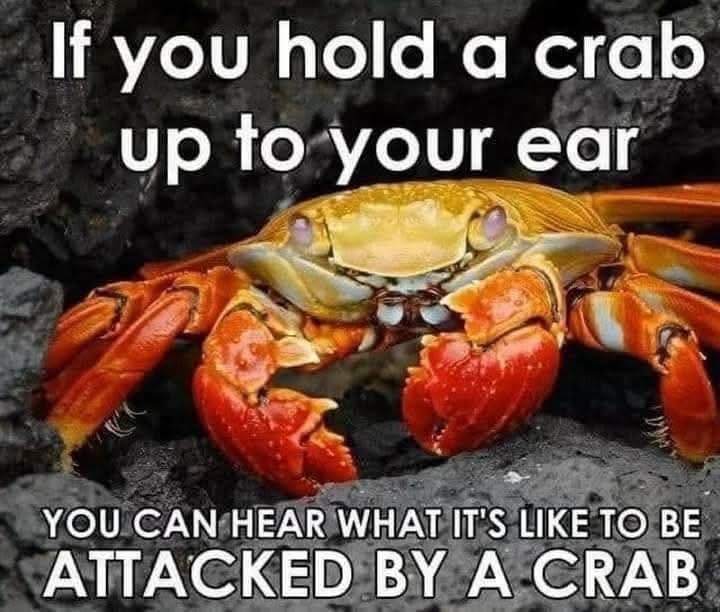 crabby.jpg