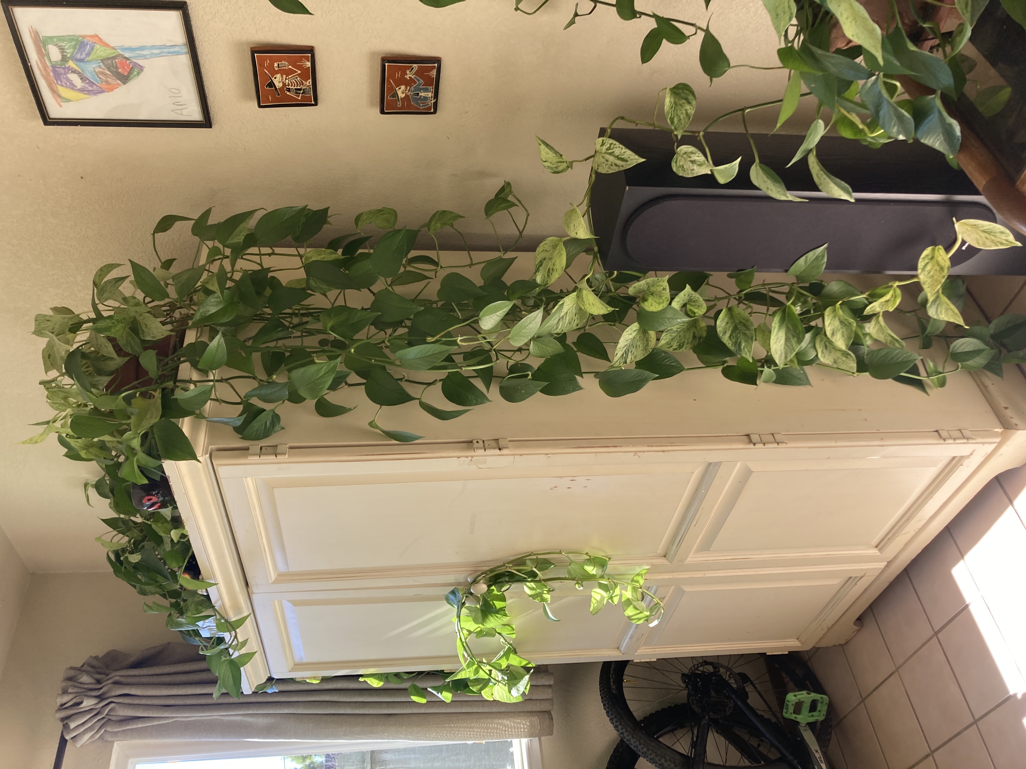 IMG_0719.jpeg