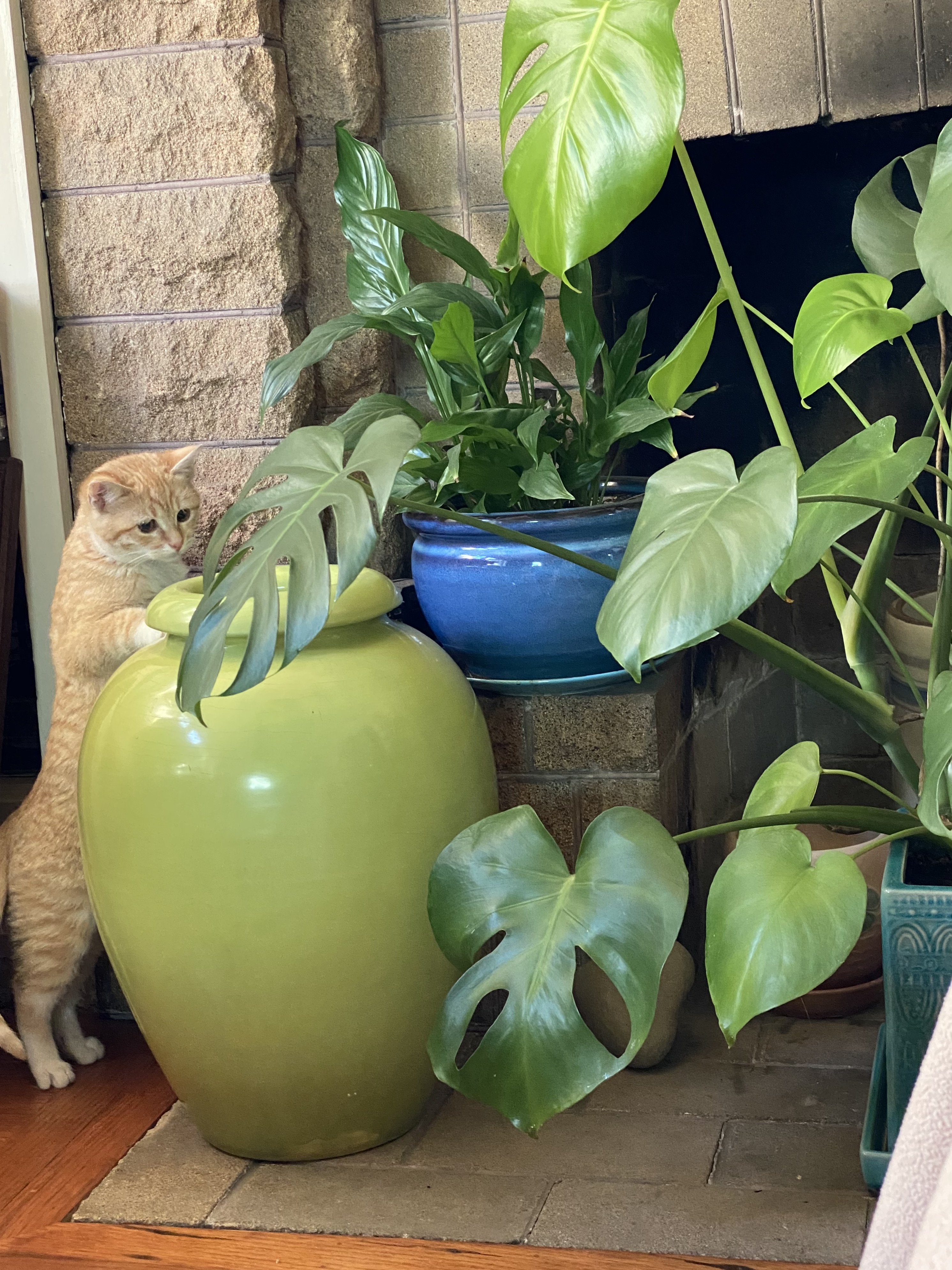 IMG_3404.jpeg