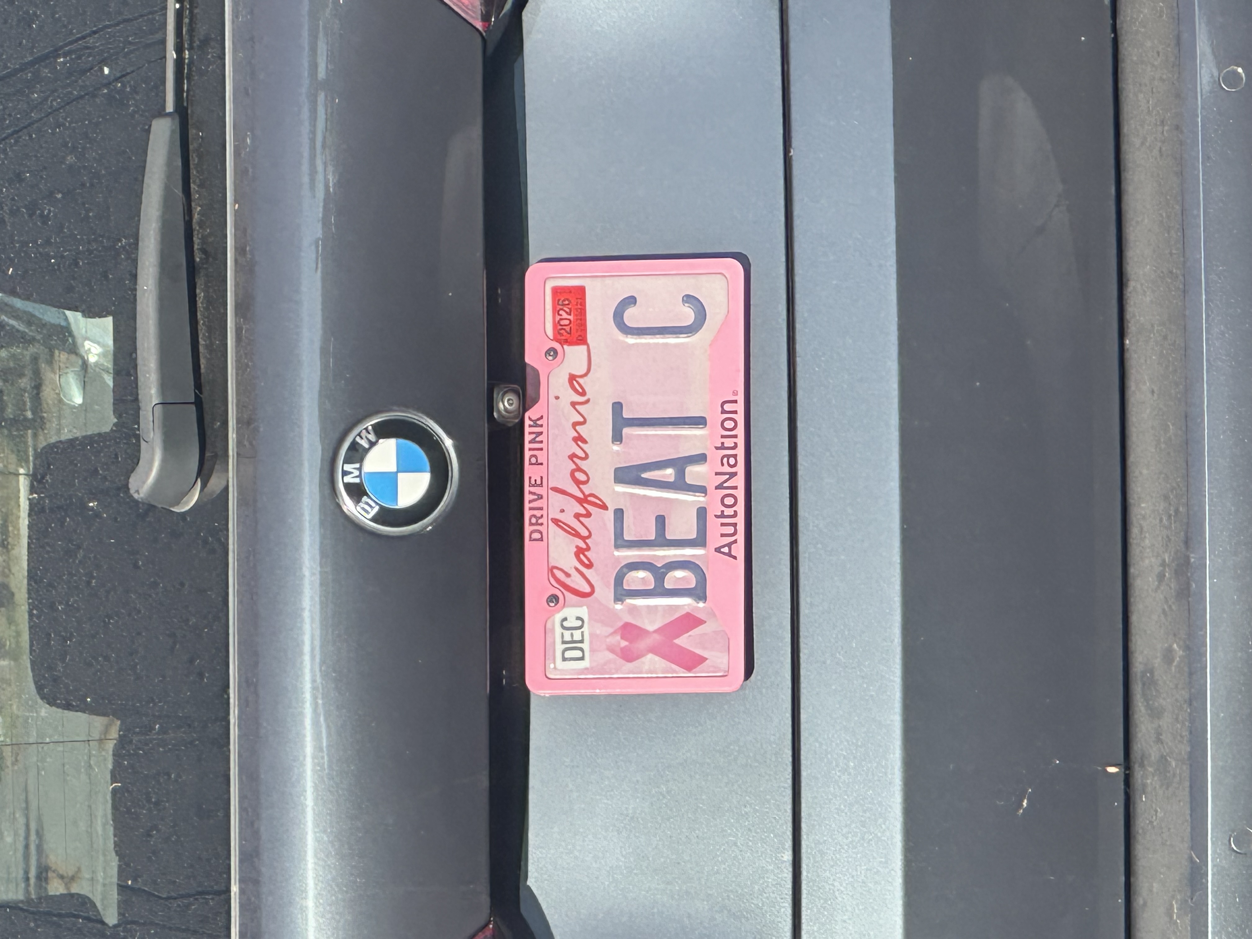 IMG_7337.jpeg