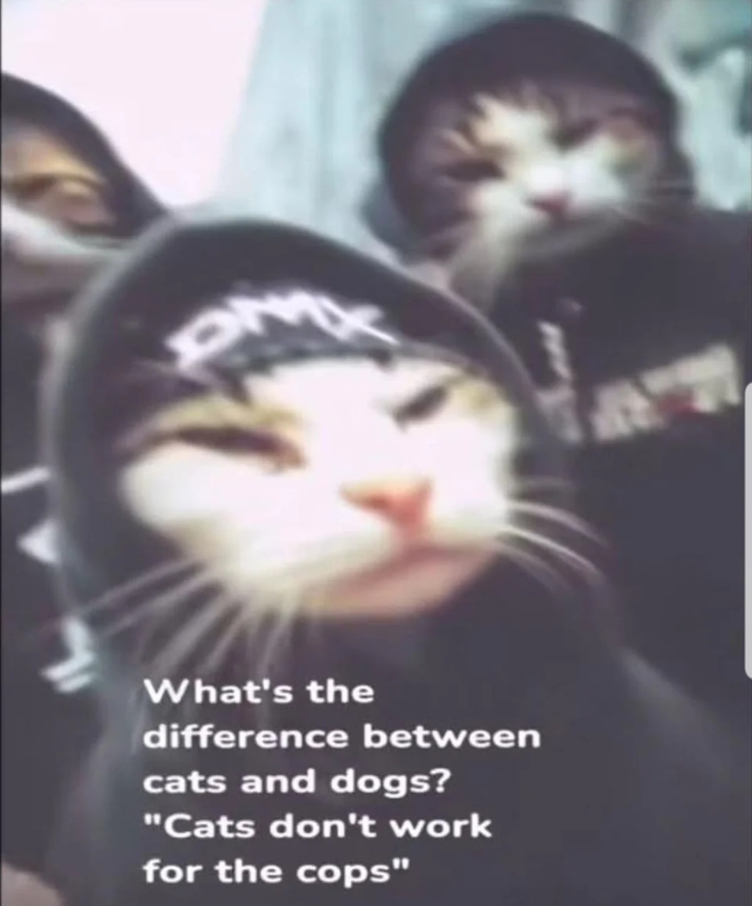 Screenshot_20260412-051956_Reddit.jpg