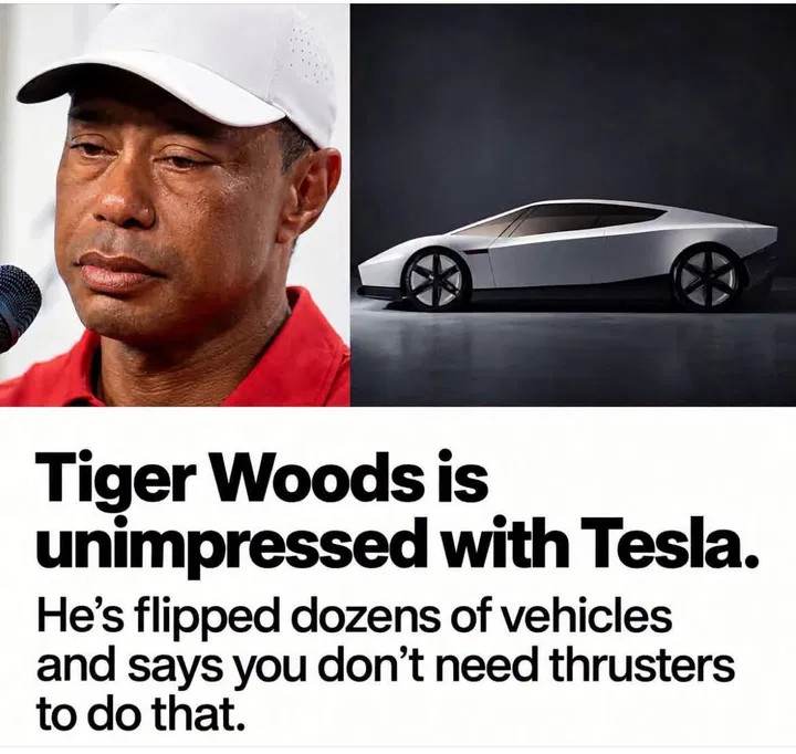 tigtes.jpg