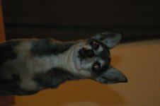 IMGP1141.jpg