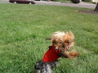 IMG_0189.JPG