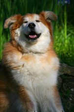IMG_1565 Clyde.jpg