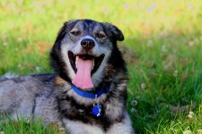 IMG_6726 Yukon.jpg