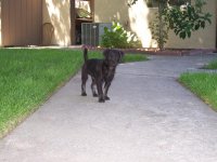 bella2.jpg