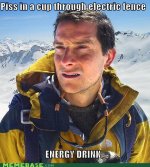 memes-piss-in-a-cup-through-electric-fence-energy-drink.jpeg