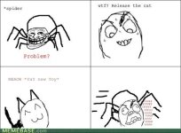 memes-the-only-way-to-deal-with-a-spider.jpeg
