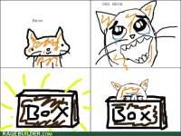 rage-comics-meowgasm.jpeg
