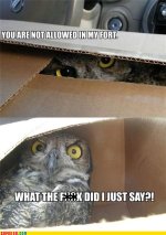 koma-comic-strip-did-i-stutter.jpeg