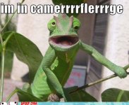 hurr-durr-derp-face-im-in-camerrrrflerrrge.jpeg