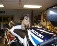 DSC02047 (Medium).JPG