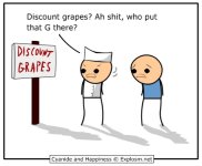 Discount Grapes.jpg