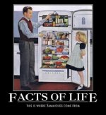 sammiches facts of life.jpg