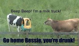 go home bessie.jpg