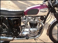 Triumph1967Bonneville.jpg