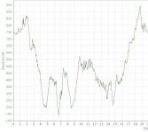 SeaOtter Profile.jpg