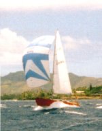 Kokohead1.jpg