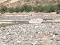 Another wash crossing.JPG