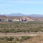 Mulege mtns in background.JPG