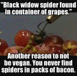 black widow vegan.jpg