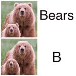 bears.jpg