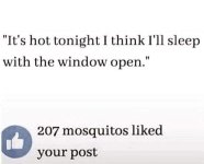 mosquitos.jpg