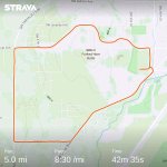 strava1839931933626962006 (1).jpg