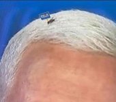 fly biden sign.jpg