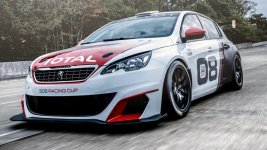 peugeot 308 cup.jpg