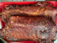 ribs_20210807_900.jpg