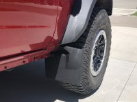 Mud Flaps.jpg