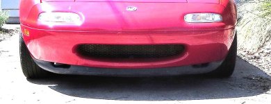 Front Lip.jpg