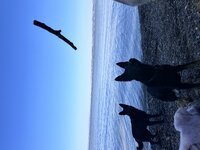 IMG_0739.jpeg